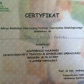 Powiększ obraz: certificate 2
