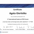 Powiększ obraz: certificate 8