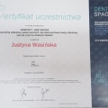 Powiększ obraz: certificate 12