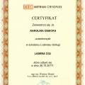 Powiększ obraz: certificate 1