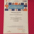 Powiększ obraz: certificate 8