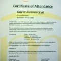Powiększ obraz: certificate 2