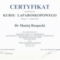 Powiększ obraz: certificate 4