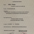 Powiększ obraz: certificate 8