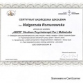 Powiększ obraz: certificate 7