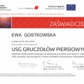 Powiększ obraz: certificate 10