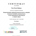 Powiększ obraz: certificate 2