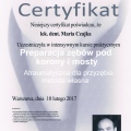 Powiększ obraz: certificate 8