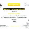 Powiększ obraz: certificate 45