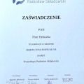 Powiększ obraz: certificate 11