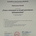 Powiększ obraz: certificate 12