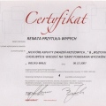 Powiększ obraz: certificate 97