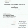 Powiększ obraz: certificate 1