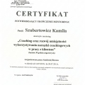 Powiększ obraz: certificate 10