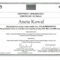Powiększ obraz: certificate 14