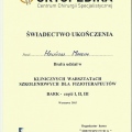 Powiększ obraz: certificate 3