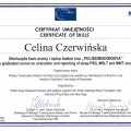 Powiększ obraz: certificate 1