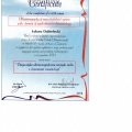 Powiększ obraz: certificate 6