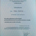 Powiększ obraz: certificate 38