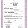 Powiększ obraz: certificate 6