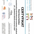 Powiększ obraz: certificate 37
