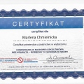 Powiększ obraz: certificate 19