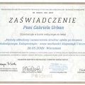 Powiększ obraz: certificate 5