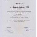 Powiększ obraz: certificate 6