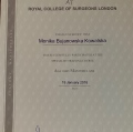 Powiększ obraz: certificate 2
