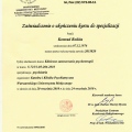 Powiększ obraz: certificate 6