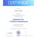 Powiększ obraz: certificate 2