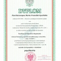 Powiększ obraz: certificate 4