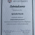 Powiększ obraz: certificate 3