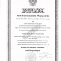 Powiększ obraz: certificate 1