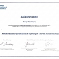 Powiększ obraz: certificate 17
