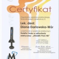 Powiększ obraz: certificate 8