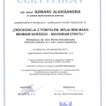 Powiększ obraz: certificate 16