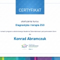 Powiększ obraz: certificate 24