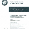Powiększ obraz: certificate 8