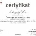 Powiększ obraz: certificate 12