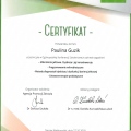 Powiększ obraz: certificate 1