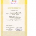 Powiększ obraz: certificate 11