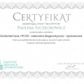 Powiększ obraz: certificate 50