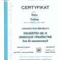 Powiększ obraz: certificate 13