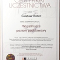 Powiększ obraz: certificate 11