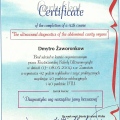 Powiększ obraz: certificate 11