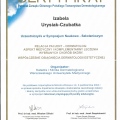 Powiększ obraz: certificate 1
