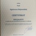 Powiększ obraz: certificate 6