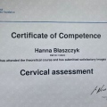 Powiększ obraz: certificate 4