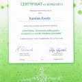 Powiększ obraz: certificate 20